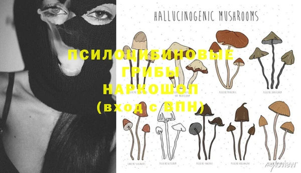 круглые Арсеньев