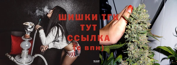 прущий лед Аркадак