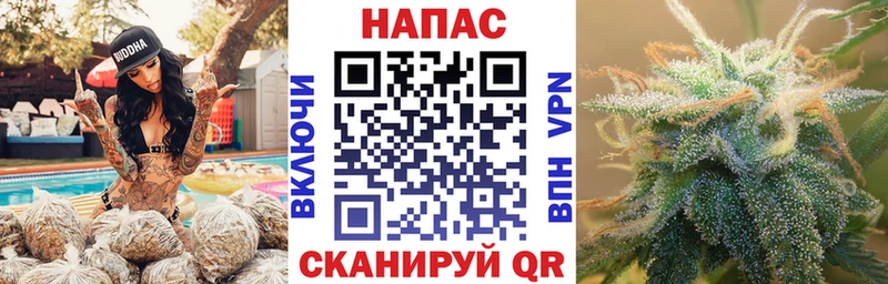 как найти закладки  MEGA   МАРИХУАНА OG Kush  Шлиссельбург 
